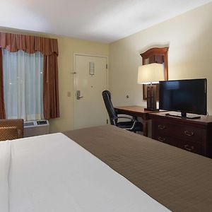 King Room Pet-Friendly